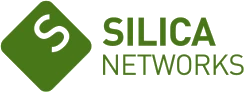 Silica Networks